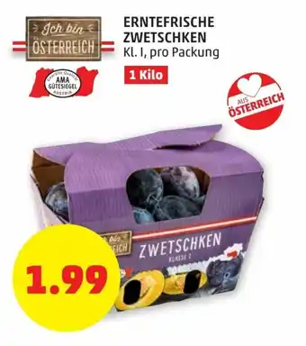 PENNY Erntefrische Zwetschken Angebot