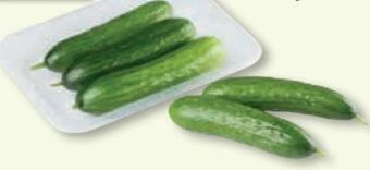 Unimarkt Mini-gurken Angebot