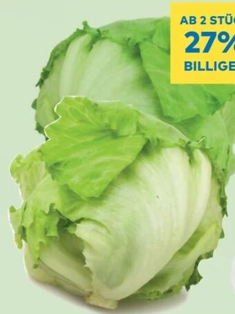 T&G Eissalat Angebot