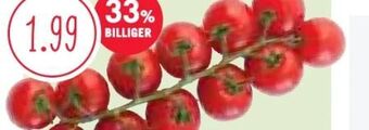 MPreis Cherrytomaten fruchtige frieda Angebot