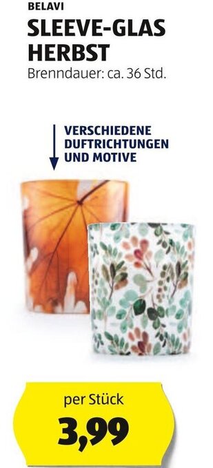 Hofer BELAVI SLEEVE-GLAS HERBST Angebot