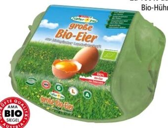 Interspar Bio-eier Angebot