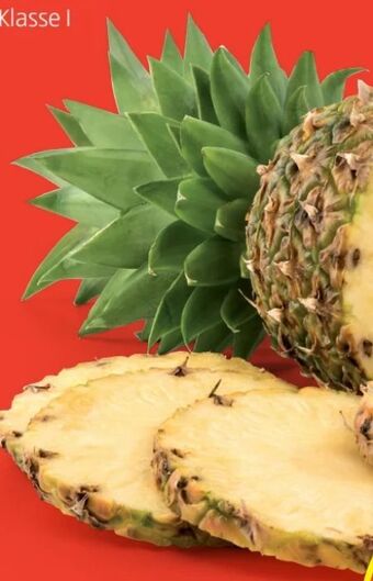 Hofer Ananas Angebot