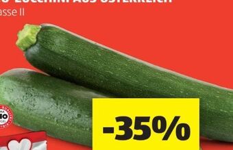 Hofer Bio-zucchini Angebot