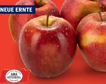 Hofer Äpfel Angebot