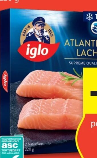 Hofer Atlantik lachs Angebot
