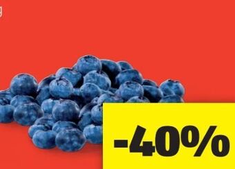 Hofer Heidelbeeren Angebot