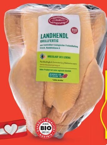 Hofer Bio landhendl Angebot