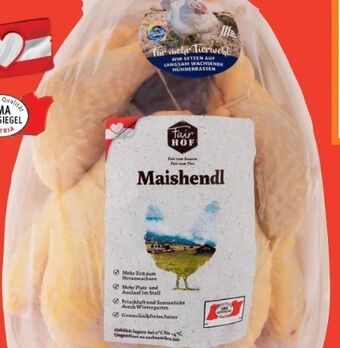 Hofer Hendl bratfertig Angebot