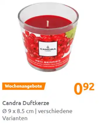 Action Candra Duftkerze Ø 9x8.5 Angebot