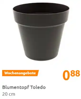 Action Blumentopf Toledo 20cm Angebot
