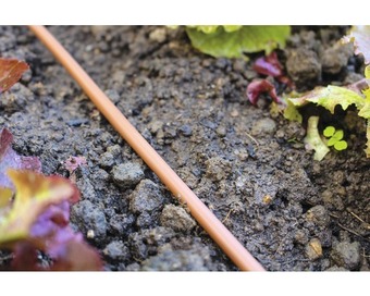 Hornbach Tropfschlauch vitavia dp30 schlauchlänge 30 m Angebot