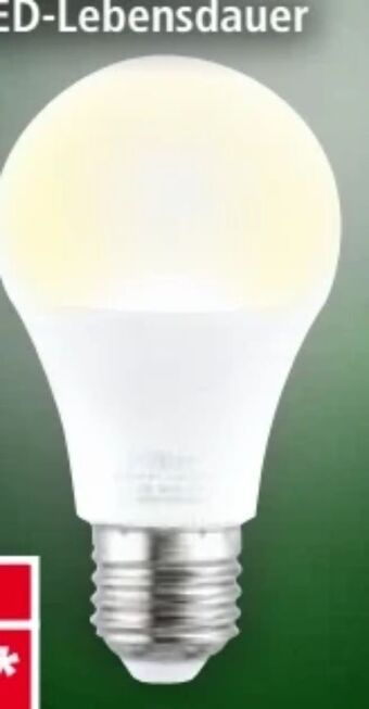 Norma Led-leuchtmittel Angebot