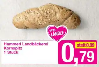 Sutterlüty Hammerl Landbäckerei Kornspitz Angebot