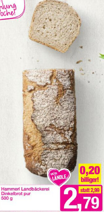 Sutterlüty Hammerl Landbäckerei Dinkelbrot Pur 500g Angebot