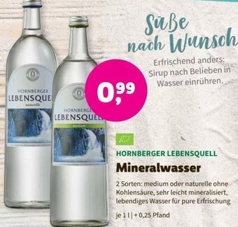 Denn's Biomarkt HORNBERGER LEBENSQUELL Mineralwasser 1 L Angebot