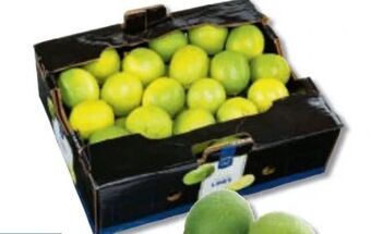 Metro Bio limetten Angebot