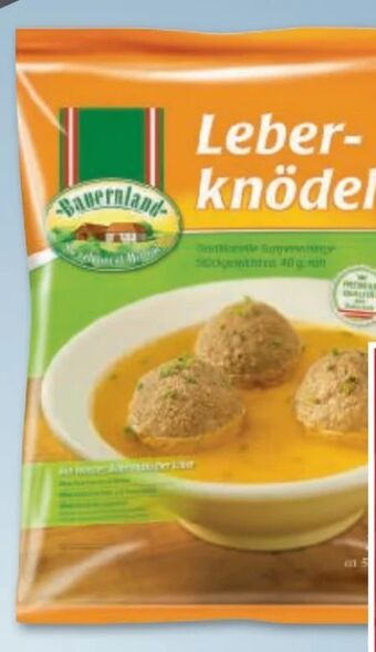 Metro Leberknödel Angebot