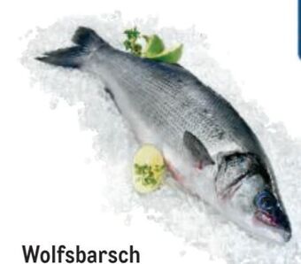 Metro Wolfsbarsch Angebot