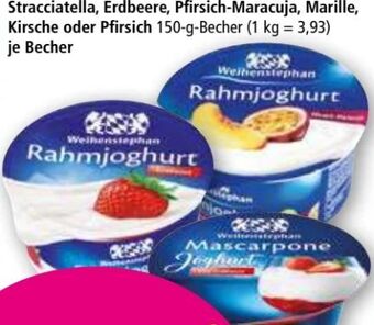 Norma Mascarpone joghurt Angebot