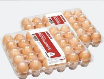ETSAN Eier Angebot