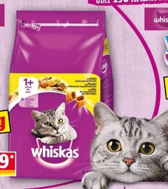 Norma Katzen-trockenfutter Angebot