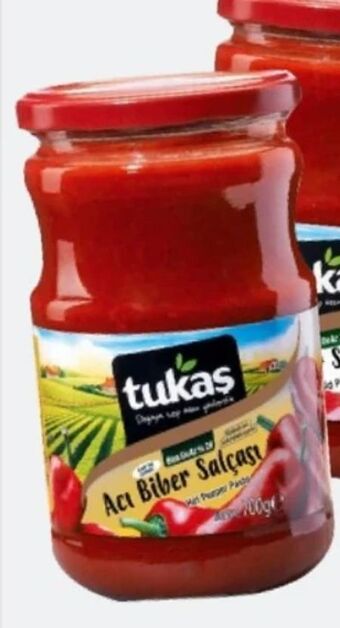 ETSAN Paprikamark Angebot