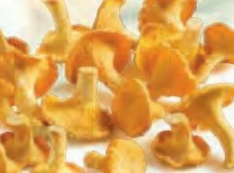 Billa Eierschwammerl Angebot