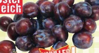 Maximarkt Zwetschken Angebot