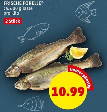 PENNY FRISCHE FORELLE* ca. 600 g Angebot