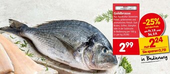 Interspar Goldbrasse Angebot
