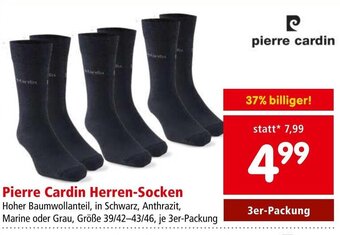 Interspar Pierre Cardin Herren-Socken Angebot