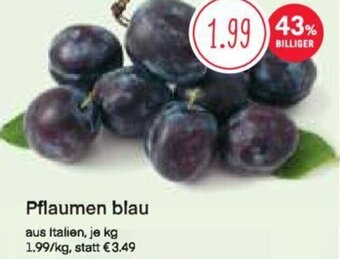 MPreis Pflaumen blau Angebot