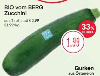 MPreis BIO vom BERG Zucchini Angebot