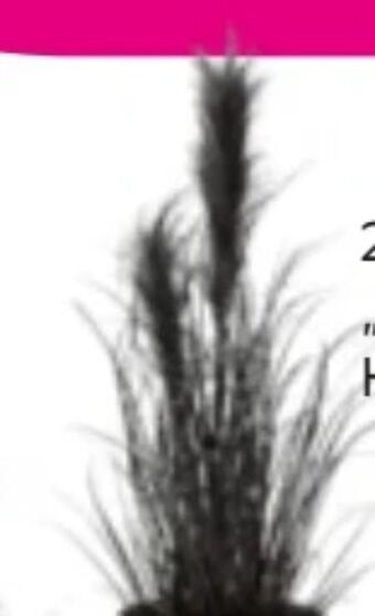 Mömax Kunstpflanze pampasgras Angebot