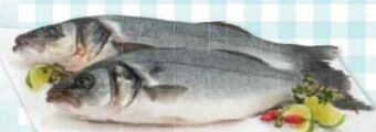 Maximarkt Wolfsbarsch Angebot