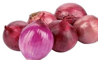 Transgourmet Zwiebel Angebot
