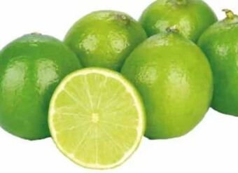 Transgourmet Limetten Angebot