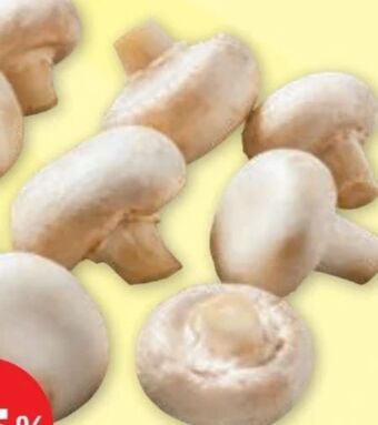 PENNY Champignons Angebot