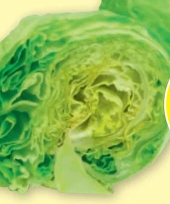 PENNY Eissalat Angebot