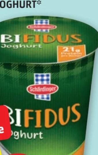 PENNY Bifidus joghurt Angebot