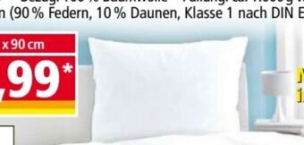 Norma Kopfkissen Angebot