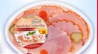 Norma Spanferkel-tellersülze Angebot