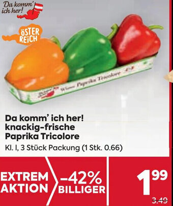 Billa Da komm' ich her! knackig-frische Paprika Tricolore Kl. I, 3 Stück Packung Angebot