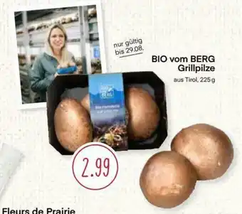 MPreis Bio vom Berg Grillpilze Angebot