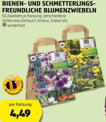 Hofer BIENEN- UND SCHMETTERLINGS-FREUNDLICHE BLUMENZWIEBELN Angebot