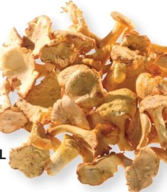 SPAR Gourmet Eierschwammerl Angebot