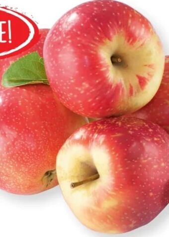 SPAR Gourmet Äpfel Angebot