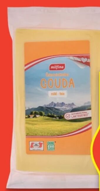Hofer Gouda Angebot