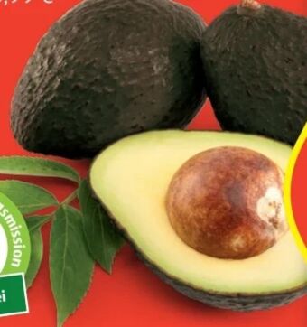 Hofer Iss reif! avocados Angebot